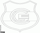 Insigne du Club Atlético Gimnasia y Esgrima, dite de Gimnasia y Esgrima de Jujuy, club de football basé à San Salvador de Jujuy, ville dans le nord de l’Argentine et la capitale de la province de Jujuy