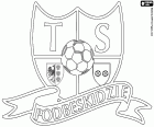 Logo de TS Podbeskidzie, Towarzystwo Sportowe Podbeskidzie Bielsko-Biała, club de football basé à Bielsko-Biała, ville sur les rives de la rivière Biala au pied des Carpates dans la voïvodie de Silésie, situé dans le sud de la Pologne, à proximité des frontières avec la République tchèque et la Slovaquie