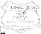 Emblème de Bruk-Bet Termalica Nieciecza Klub Sportowy, club de football basé à Nieciecza, village dans le sud-est de la Pologne dans la voïvodie de Petite-Pologne, situé à environ 60 km à l’est de Cracovie