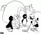 Le manchot Pingu et ses amis près de l’igloo