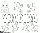 Yhadira, variante de Yadira et Yadhira, nom d’origine inconnue, utilisé pour les filles dans les pays hispanophones