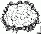 Le chou-fleur est une variante du chou, l’inflorescence blanche ressemble à un brocoli blanc. Le chou-fleur a des propriétés diurétiques et nombreuses possibilités culinaires.
