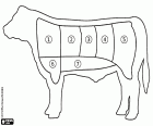 Un schéma graphique simple avec les coupes de boeuf. Il y a différents morceaux de viande selon les traditions de différents pays. La viande de boeuf est très consommée dans barbecues