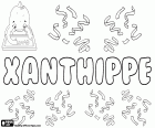 Xanthippe, nom grec pour la fille, une autre variante du même nom est Xanthippi. Xanthippe était l'épouse de Socrate, le célèbre philosophe grec