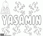 Yasamin, prénom féminin d’origine persane, variante de Yasamen et Yasamine, entre autres. L’origine et la signification de ce nom est la fleur de jasmin