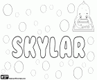 Skylar, nom anglais utilisé pour garçon et fille, variante de Skyler