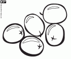 Les olives sont les fruits de l’olivier. Il existe de nombreux types d’olives. L’huile d’olive est obtenue par le broyage des olives. Les olives macérées sont consommés en apéritif ou en accompagnement de certains plats