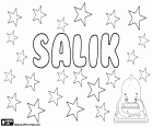 Salik, prénom masculin avec diverses origines et significations, également un nom de famille. Salik, nom pour garçon très populaire au Groenland, sa signification est le nettoyant, et il pourrait venir de la mythologie groenlandaise. Salik, nom masculin d’origine arabe, variante de Saliq