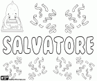 Salvatore, nom masculin en italien, nom d’origine latine, dérivé de Salvator, un ancien nom chrétien, son sens est celui qui sauve, le sauveur, une traduction du nom de Jésus pour les premiers chrétiens