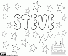 Steve, nom anglais pour garçon, forme abrégée qui correspond à Steven et Stephen en anglais, dérivé du nom d’origine grecque, Stephanos. Stéphane en français