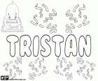 Tristan, nom d’origine celtique pour garçon utilisé dans de nombreuses langues comme anglais, français, allemand, espagnol et polonais, entre autres. C’est aussi un nom pour les filles en anglais comme une variante de Trista et Tristana