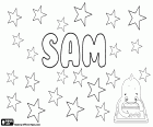 Sam, nom anglais utilisé habituellement pour garçon et plus rarement pour fille, forme abrégée d’autres noms tels que Samuel, Samson et Samantha. Sam, variante de Saam, prénom masculin qui provient de la mythologie Perse