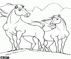 Les chevaux Spirit et Rivière, le jeune cheval et la jeune jument sont deux protagonistes du film Spirit, l'étalon des plaines