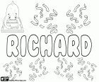Richard, nom masculin d’origine germanique dans plusieurs langues comme l’anglais, allemand, Français, roumain, hongrois, tchèque, slovaque et néerlandais