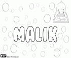 Malik, variante de Maalik, prénom masculin en arabe, nom de la tradition islamique, al-Malik est l’un des 99 noms d’Allah. Malik, nom indigène pour garçon en groenlandais, sa signification est l’eau