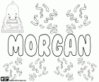 Morgan, nom d’origine galloise pour garçon, dérivé de l’ancien nom masculin, Morcant. C’est à l’origine un nom masculin utilisé dans différentes langues comme l’anglais, des Français et des gallois. Est aussi un prénom pour les filles en anglais et en Français, variante de Morgana et Morgane