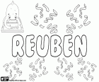 Reuben, variante de Reuven et Reubhen, nom pour garçon d’origine hébraïque, correspond à Ruben