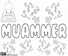 Muammer, nom turc pour garçon, variante de Muamer et Mouammar, nom d’origine arabe signifiant d’avoir longue vie