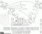 New England Patriots sont les champions du Super Bowl 2019. Ils ont surmonté en finale à Los Angeles Rams de 13-3. Le MVP a été Julian Edelman. New England Patriots et le quarterback Tom Brady ont son sixième titre de champion