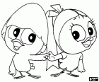 Calimero et Priscilla, deux poussins dans amour