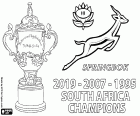 L'Afrique du Sud est le nouveau champion du monde de rugby de 2019. Les Springboks ont remporté leur troisième titre mondial après les titres de 1995 et 2007
