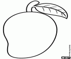 La mangue est un fruit tropical très juteux. Il existe de nombreuses variétés de mangues, les fruits de la Mangifera indica. Un simple dessin d’une mangue