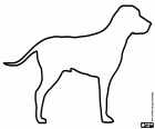 La silhouette d’un chien de la race English Pointer. Cette race a été traditionnellement utilisée comme chien de chasse en Angleterre