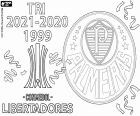 La Sociedade Esportiva Palmeiras a remporté son troisième titre de champion de la Copa Libertadores. Palmeiras a battu Flamengo 2-1 en finale avec des buts de Raphaël à la 5e minute et le but décisif de Deyverson à la 95e minute, et à la 72e minute un but de Gabriel Barbosa pour l’équipe carioca.