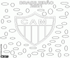 Clube Atlético Mineiro est le champion du Brasileirão 2021, la Série A du championnat brésilien. C’est le deuxième titre du club de Belo Horizonte après celui obtenu il y a cinquante ans, en 1971.