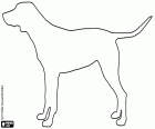 Un coloriage avec la silhouette d’un grand chien avec une queue horizontale, un signe que le chien est intéressé par quelque chose