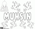 Muhsin, nom masculin en arabe et en turc, variante de Muhsen, Mohsen et Mohsin, sa signification est bienfaisant