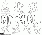 Mitchell et sa variante Mitchel, nom masculin en anglais, écossais et irlandais, a des origines étymologiques différentes, toutes dérivées des prénoms Michael ou Michel