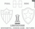 Atlético Mineiro vs. Botafogo, la finale de la Copa Libertadores 2024, Estadio Monumental de Buenos Aires, Argentine