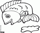 Coloriage Un poisson de rivière sautant