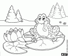 Coloriage La grenouille sur un nénuphar