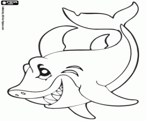 Coloriage Requin