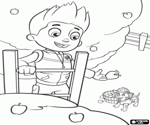 Coloriage Ryder et les pommes sur l’arbre