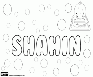 Coloriage Shahin, nom d’origine musulmane