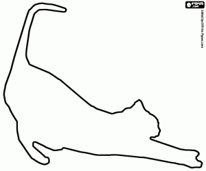 Coloriage Silhouette de chat en étirement