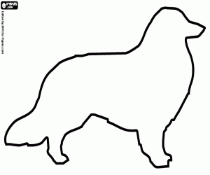 Coloriage Silhouette de chien Border Collie