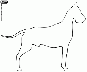 Coloriage Silhouette d’un chien dogue allemand