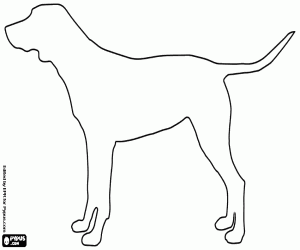 Coloriage La silhouette d’un grand chien