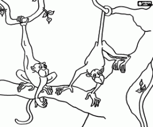 Coloriage Deux singes sur les branches de l'arbre