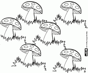 Coloriage Six champignons parmi les herbes