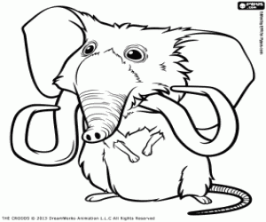 Coloriage Souriphant, animal de les Croods