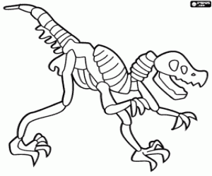 Coloriage Squelette de dinosaure
