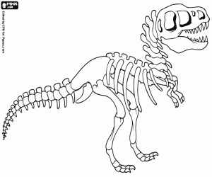 Coloriage Le squelette d’un dinosaure