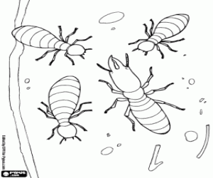 Coloriage Les termites soldat et la Reine