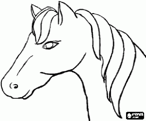 Coloriage Tête de cheval, vue de côté