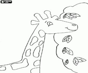 Coloriage Tête de girafe mangeant des feuilles